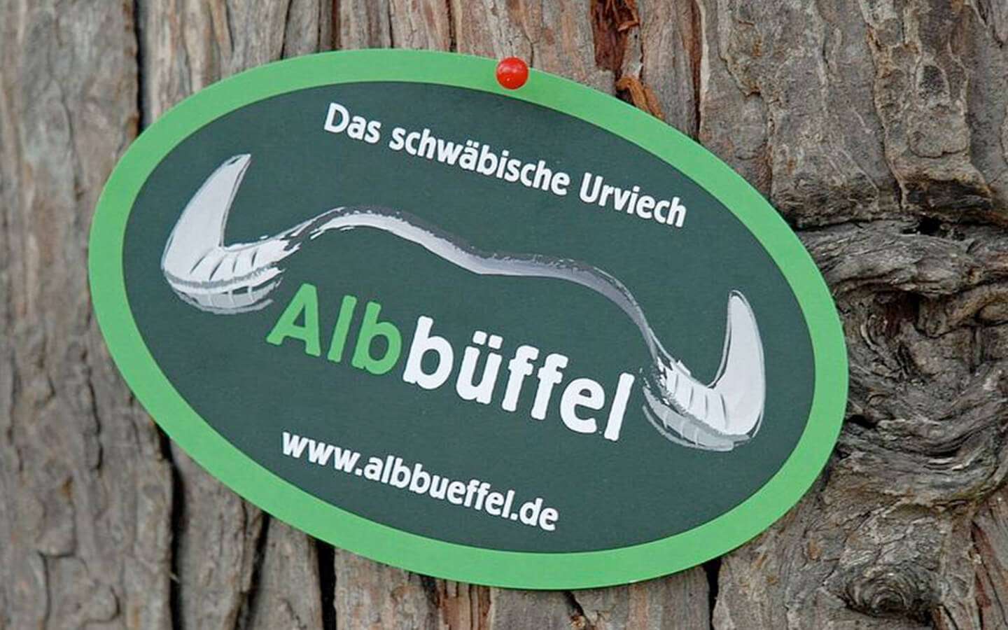 FAI_content_albbueffel_02_1440x900_1920x1920@2x