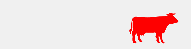 Rind-Banner-Flexicard-auf-Grau-neu