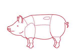 alblinsenschwein-zeichnung-illu